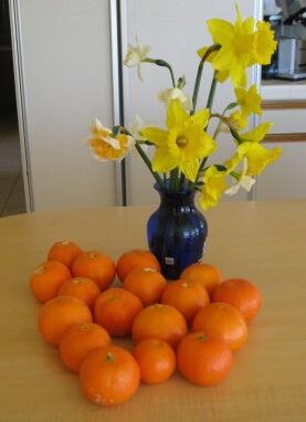 daffodils and clementines