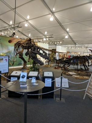 dinosaurs in 22nd street showcase